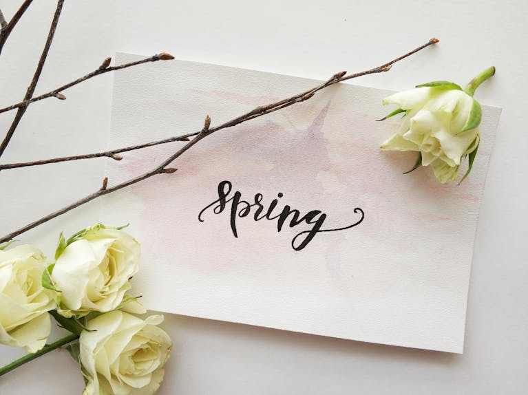 Photo by Alena Koval | Motherhues A delicate spring-themed card with elegant hand lettering and white roses for a romantic touch.